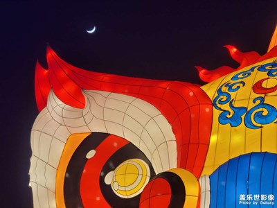 春節(jié)世園會(huì)花燈