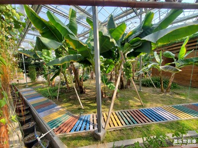 【時(shí)光靜好】+?游農(nóng)業(yè)園