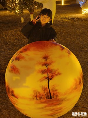 【新年快樂】記錄美的瞬間