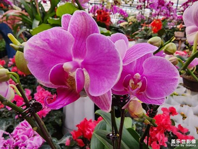 【新年快樂(lè)】新年新氣象