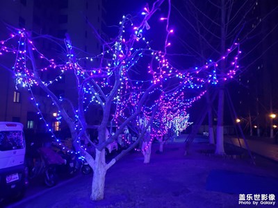 ??9的夜景貌似不行了？