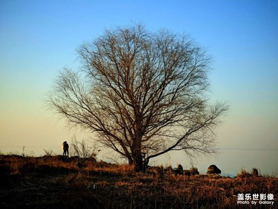 日薄西山，西山看夕陽