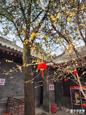 【新年快樂(lè)】+闔家歡樂(lè)