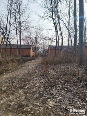 2023年皖北農(nóng)村