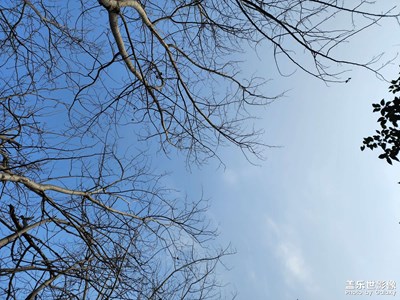 【鬧元宵】+?逛公園