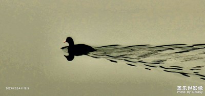 春江水暖鴨先知！