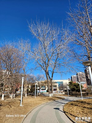 【鬧元宵】+?游園會(huì)