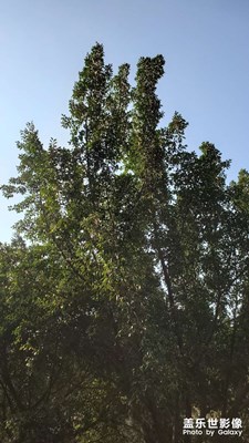 立春后天氣熱了