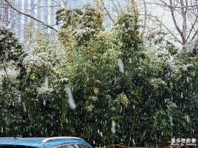 【靜美時分】s22u鏡頭下的雪