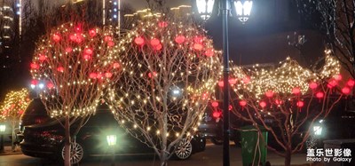 【靜美時(shí)分】+?彩燈映襯