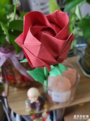 應應景，太費腦????