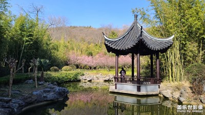 日常隨拍之(梅花亭)