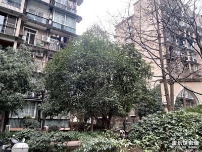 【靜美時(shí)分】+小區(qū)美景