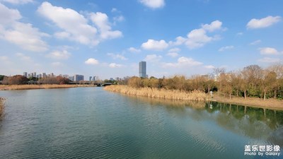 【碎片日?！?暖陽