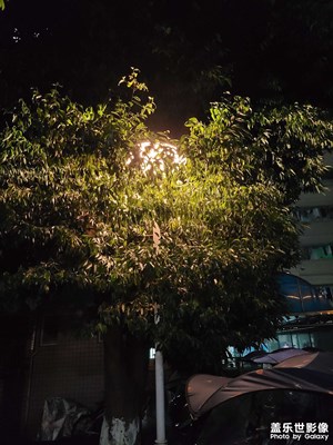 【碎片日?！?生活學習