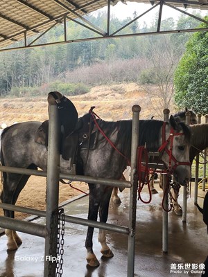 【碎片日?！??生活隨拍