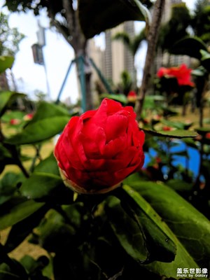 【碎片日?！?生活記錄