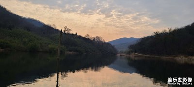 日常隨拍之(密林深處)