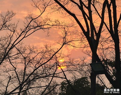 【碎片日常】+一些隨拍