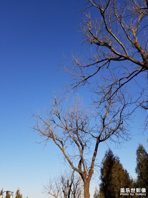 【碎片日?！块e暇時(shí)間溜達(dá)溜達(dá)