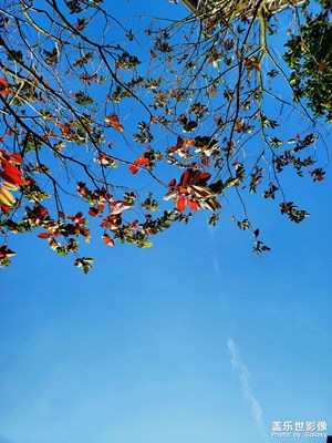 【碎片日常】+日常隨拍