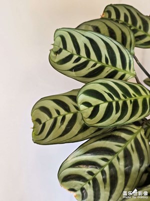 哈哈哈測試超贊