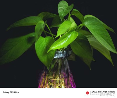 S23U的谷歌相機(jī)