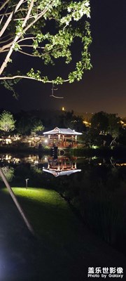 龍馬湖