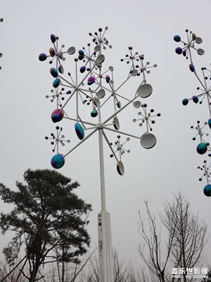 【清淺時(shí)光】+?閑逛公園