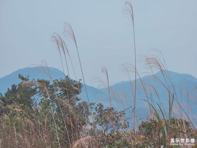 【清淺時光】+登山徒步