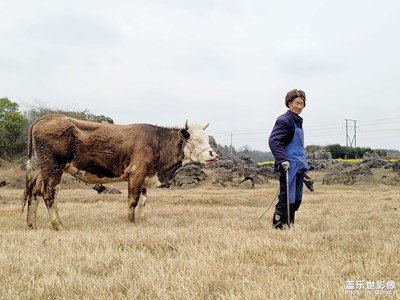 【清淺時(shí)光】+小品