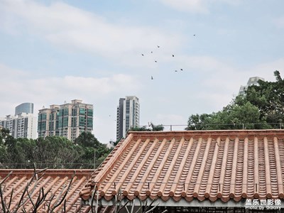 三星23Ultra動物園隨拍