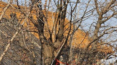 【三星S23系列曬單】