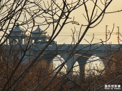 【網(wǎng)紅打卡地】某大橋，某電視塔，某樓