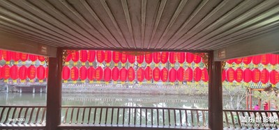 天氣好總要繼續(xù)拍花花吧！