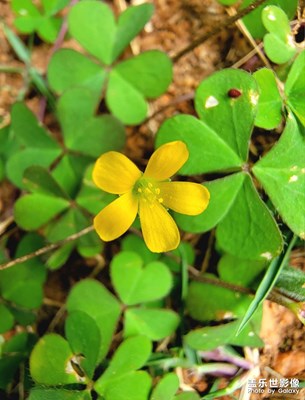 【網(wǎng)紅打卡地】+金沙灣廣場