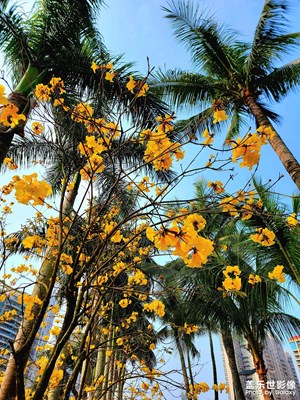 【網(wǎng)紅打卡地】+湛江海濱賓館