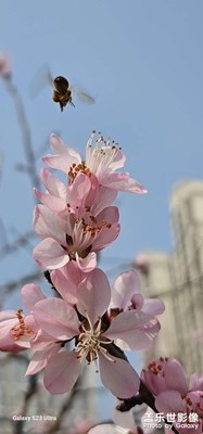 拍照測試