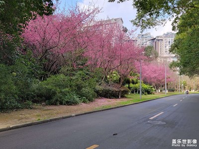 2023，春歸……