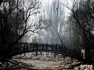 【網(wǎng)紅打卡地】+林草生態(tài)園