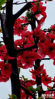 發(fā)個圖??????