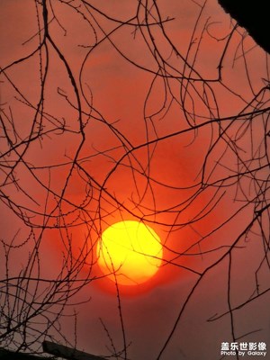 【光影記事】+ 落日