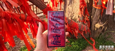 千年古樹銀杏王