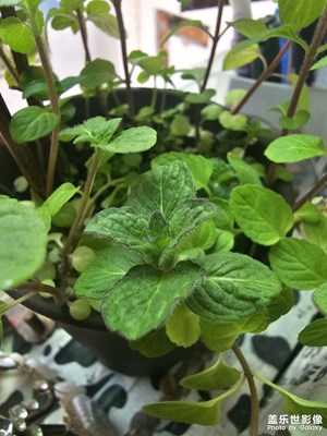 剛到手還熱乎著????