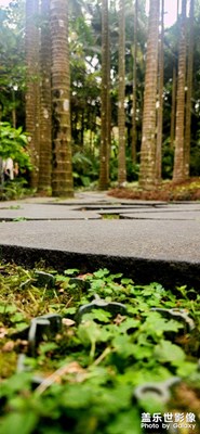 方寸間光影的變化