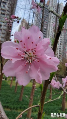 【光影記事】+ 春暖花開