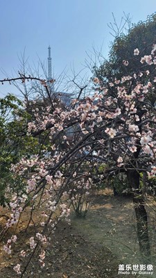 來著辦個業(yè)務