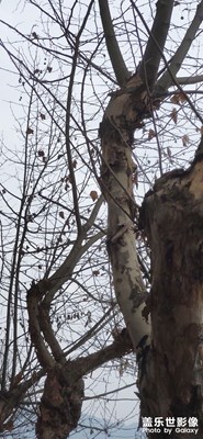 【光影記事】+逛街