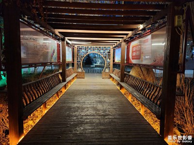 【美麗夜景】公園夜拍（二）