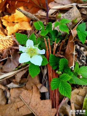 繼續(xù)淘20u，堅(jiān)決做釘子戶！